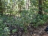  ( - HAY-F-004912)  @11 [ ] by-nc (2023) Warren Cardimona Fungal Diversity Survey