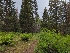  ( - HAY-F-004888)  @11 [ ] by-nc (2023) Warren Cardimona Fungal Diversity Survey
