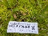  ( - HAY-F-004886)  @11 [ ] by-nc (2023) Warren Cardimona Fungal Diversity Survey
