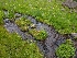  ( - HAY-F-004886)  @11 [ ] by-nc (2023) Warren Cardimona Fungal Diversity Survey