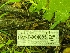  ( - HAY-F-004885)  @11 [ ] by-nc (2023) Warren Cardimona Fungal Diversity Survey
