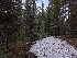  ( - HAY-F-004877)  @11 [ ] by-nc (2023) Warren Cardimona Fungal Diversity Survey