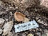  ( - HAY-F-001306)  @11 [ ] by-nc (2023) Aaron Tupac Fungal Diversity Survey