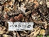  ( - HAY-F-001225)  @11 [ ] by-nc (2023) Aaron Tupac Fungal Diversity Survey