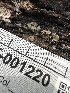  ( - HAY-F-001220)  @11 [ ] by-nc (2023) Aaron Tupac Fungal Diversity Survey