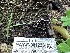  ( - HAY-F-001223)  @11 [ ] by-nc (2023) Aaron Tupac Fungal Diversity Survey