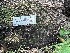  ( - HAY-F-001223)  @11 [ ] by-nc (2023) Aaron Tupac Fungal Diversity Survey