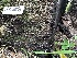  ( - HAY-F-001223)  @11 [ ] by-nc (2023) Aaron Tupac Fungal Diversity Survey