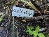  ( - HAY-F-005840)  @11 [ ] by-nc (2023) Stu Pickell Fungal Diversity Survey