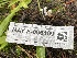  ( - HAY-F-006409)  @11 [ ] by-nc (2023) Damon Tighe Fungal Diversity Survey
