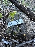  ( - HAY-F-001364)  @11 [ ] by-nc (2023) Aaron Tupac Fungal Diversity Survey