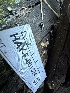  ( - HAY-F-001364)  @11 [ ] by-nc (2023) Aaron Tupac Fungal Diversity Survey