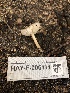  ( - HAY-F-006114)  @11 [ ] by-nc (2023) Dean Lyons Fungal Diversity Survey