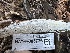  ( - HAY-F-005736)  @11 [ ] c (2023) Rudy Diaz Fungal Diversity Survey