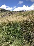  ( - HAY-F-006623)  @11 [ ] by-nc (2023) Dean Lyons Fungal Diversity Survey