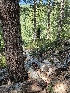  ( - HAY-F-006340)  @11 [ ] by (2023) Mandy Hackney Fungal Diversity Survey