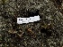  ( - HAY-F-005462)  @11 [ ] by-nc (2023) Aaron Tupac Fungal Diversity Survey