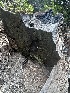  ( - HAY-F-005622)  @11 [ ] c (2023) Rudy Diaz Fungal Diversity Survey