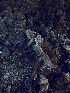  ( - HAY-F-005618)  @11 [ ] c (2023) Rudy Diaz Fungal Diversity Survey