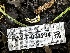  ( - HAY-F-001284)  @11 [ ] by-nc (2023) Aaron Tupac Fungal Diversity Survey