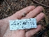  ( - HAY-F-005277)  @11 [ ] by-nc (2023) Warren Cardimona Fungal Diversity Survey