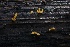  ( - HAY-F-004717)  @11 [ ] by-nc (2023) Taye Bright Fungal Diversity Survey
