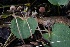 ( - HAY-F-004718)  @11 [ ] by-nc (2023) Taye Bright Fungal Diversity Survey