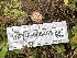  ( - HAY-F-006465)  @11 [ ] by-nc (2023) Damon Tighe Fungal Diversity Survey
