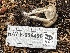  ( - HAY-F-006496)  @11 [ ] by-nc (2023) Damon Tighe Fungal Diversity Survey