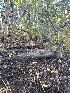 ( - HAY-F-004238)  @11 [ ] by-nc (2023) Jaren Hockert Fungal Diversity Survey