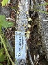  ( - HAY-F-004325)  @11 [ ] by-nc (2023) Jaren Hockert Fungal Diversity Survey