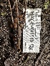  ( - HAY-F-001719)  @11 [ ] by-nc (2023) Bat Vardeh Fungal Diversity Survey
