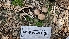  ( - HAY-F-002261)  @11 [ ] by-nc (2023) Thea Chesney Fungal Diversity Survey