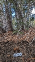  ( - HAY-F-001463)  @11 [ ] c (2023) Michelle C. Torres-Grant Fungal Diversity Survey