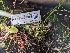  ( - HAY-F-005952)  @11 [ ] by-nc (2023) Stu Pickell Fungal Diversity Survey