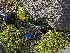  ( - HAY-F-005952)  @11 [ ] by-nc (2023) Stu Pickell Fungal Diversity Survey