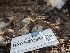 ( - HAY-F-005960)  @11 [ ] by-nc (2023) Stu Pickell Fungal Diversity Survey