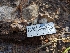  ( - HAY-F-005960)  @11 [ ] by-nc (2023) Stu Pickell Fungal Diversity Survey