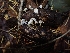  ( - HAY-F-003397)  @11 [ ] by-nc (2023) Sadie Hickey Fungal Diversity Survey