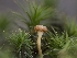  ( - HAY-F-005940)  @11 [ ] by-nc (2023) Stu Pickell Fungal Diversity Survey