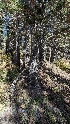  ( - HAY-F-001486)  @11 [ ] c (2023) Michelle C. Torres-Grant Fungal Diversity Survey