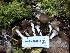  ( - HAY-F-007866)  @11 [ ] by-nc (2023) Dean Lyons Fungal Diversity Survey