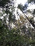 ( - HAY-F-007915)  @11 [ ] by-nc (2023) Dean Lyons Fungal Diversity Survey
