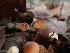  ( - HAY-F-003842)  @11 [ ] by-nc (2023) Sadie Hickey Fungal Diversity Survey