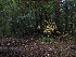  ( - HAY-F-004858)  @11 [ ] by-nc (2023) Warren Cardimona Fungal Diversity Survey