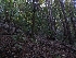  ( - HAY-F-004846)  @11 [ ] by-nc (2023) Warren Cardimona Fungal Diversity Survey