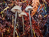  (Entoloma bicoloripes - HAY-F-002301)  @11 [ ] by-nc (2023) Dean Lyons Fungal Diversity Survey