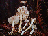  ( - HAY-F-002304)  @11 [ ] by-nc (2023) Dean Lyons Fungal Diversity Survey