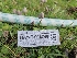  ( - HAY-F-006748)  @11 [ ] by (2023) Mandy Hackney Fungal Diversity Survey