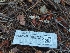  ( - HAY-F-008325)  @11 [ ] by-nc (2023) Warren Cardimona Fungal Diversity Survey